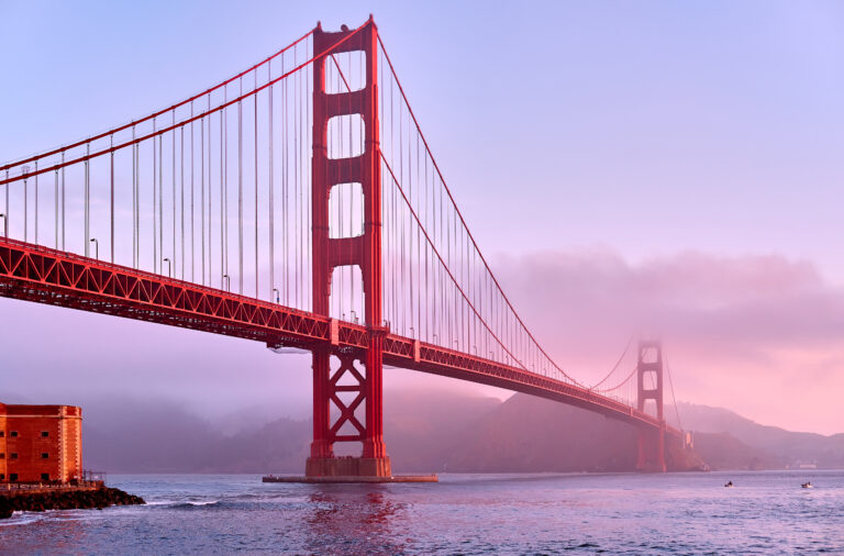 8 Ways Managed IT Services San Francisco Can Help Your Business Thrive